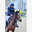Ingrandisci - LEN_159074