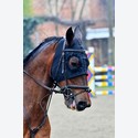 Ingrandisci - LEN_159087