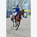 Ingrandisci - LEN_159095