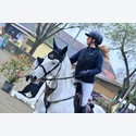 Ingrandisci - LEN_159111