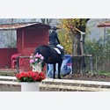 Ingrandisci - LEN_223826