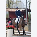 Ingrandisci - LEN_223863