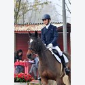 Ingrandisci - LEN_223864