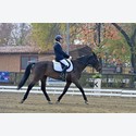 Ingrandisci - LEN_223872