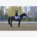 Ingrandisci - LEN_223876