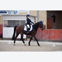 Ingrandisci - BAS1_366348