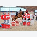 Ingrandisci - BAS1_392014