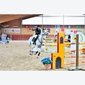 Ingrandisci - BAS1_396526