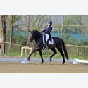 Ingrandisci - LEN_226106