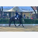 Ingrandisci - LEN_226109
