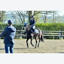 Ingrandisci - LEN_230408